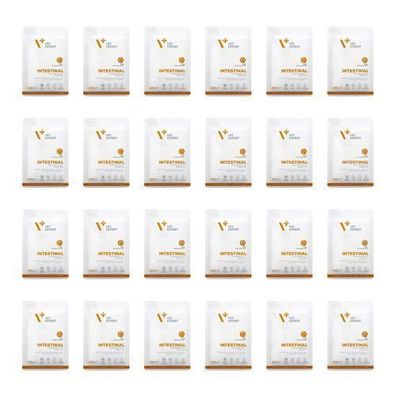 Nassfutter für Katzen VetExpert Veterinary Diet Intestinal Cat 24 x 100 g