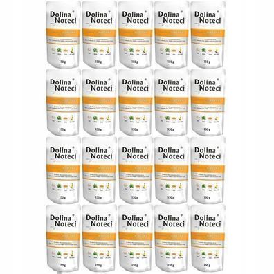 Dolina Noteci Premium REICH AN ENTE MIT KÜRBIS 20x150g