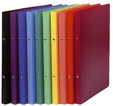 Exacompta 54199E Ringbuch A4 2-Ring 15mm farbig sortiert