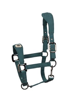 Cavallo Pferdehalfter PAWEL – Samtweiches Halfter mit Goldaccessoires