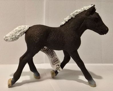 Schleich 2025 - Horse Club - Schwarzwälder Fohlen - NEU mit Fähnchen 17077