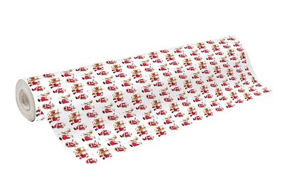 Clairefontaine Alliance 60g rl 50x0,70m Santa