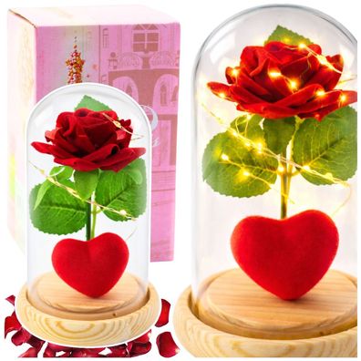 Leuchtrose Rosenkuppel Liebesgeschenk