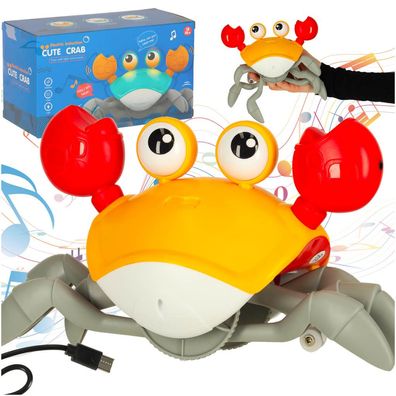 Krabbelkrabbe Musikspielzeug Motorikspielzeug