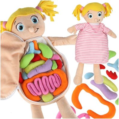 Anatomiepuppe Körpermodell Kuschelpuppe