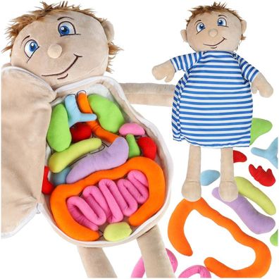 Anatomiepuppe Lernpuppe Kuschelpuppe