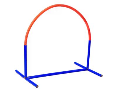 Hoopers Agility, lau orange, Hundetraining, Hundesport / 1 Stück / blau-orange
