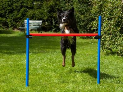 Agility Set mit Hürde, Einsteiger-Set, Hundetraining, Hundeparcour / ohne Tunnel