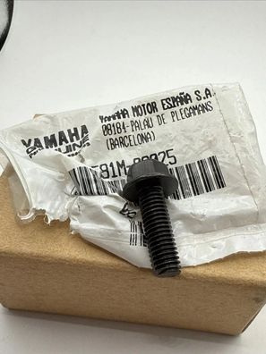 Yamaha Flanschschraube TZR50 YP125/150E BOLT, FLANGE) 9581M-08025 958-1M080-25
