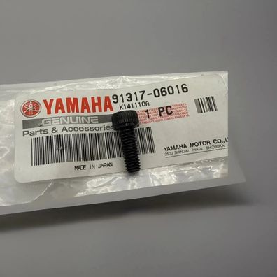 Yamaha Schraube YZF-R3 FAZER TDM850 TZR125 BOLT) 91317-06016