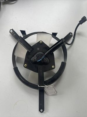 Kühlerlüfter Ventilator Lüfter Motor Kühler FAN Kawasaki ZZR 1100 ZZR1100