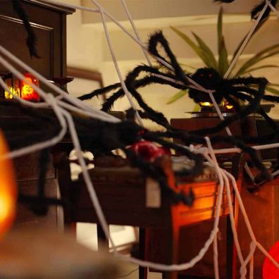 vidaXL Halloween-Spinnendekoration mit Netzen 2 stk. Schwarz und Weiß