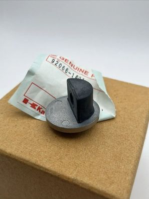 Kawasaki Stopfen ZEPHYR Z400FII GT550 ZR550-B8 PLUG 92066-1401