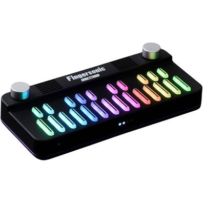 Samick Fingersonic FS Keys
