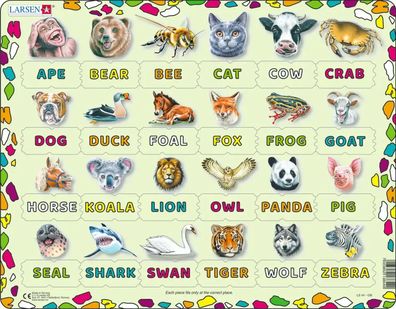 Lies und finde das Tier (englische Sprache) - Rahmenpuzzle