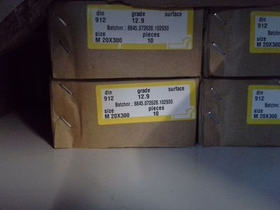 DIN 912 Zylinderschrauben mit Innensechskant, M20 x 300 12.9 Blank 5 Stk