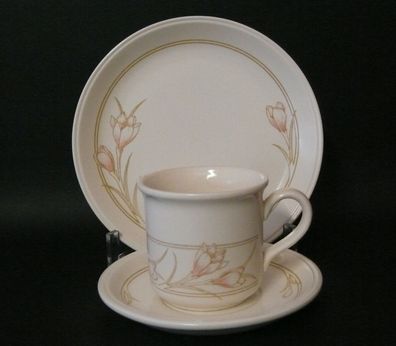 Vintage Porzellan Sammeltasse Gedeck 3 tlg Biltons Coloroll England Keramik geschirr