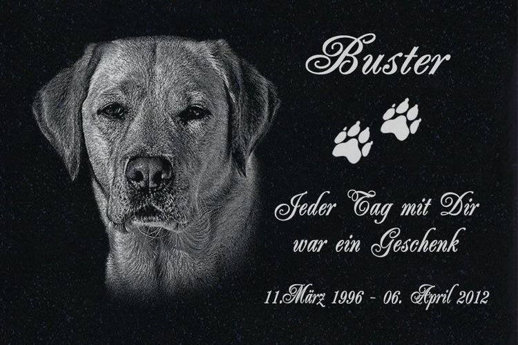 Text Gravur 60 x 40 cm  DS-102 Granit Tier Grabstein Grabplatte Hund mit Foto 