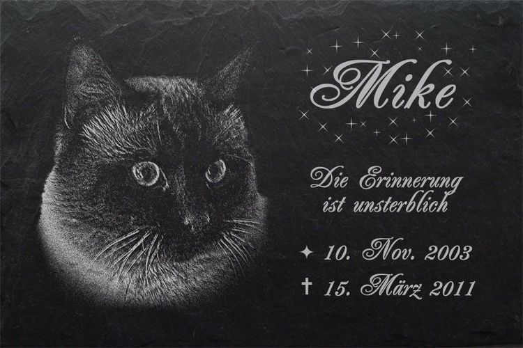 GRABSTEIN Tiergrabstein Gedenkstein Katzen Katze-018 ► Fotogravur ◄ 50 x 30 cm 