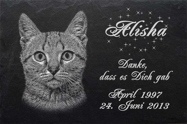 TIERGRABSTEIN Grabstein Grabplatte Katzen Katze-007 ► Fotogravur ◄ 30 x 20 cm 