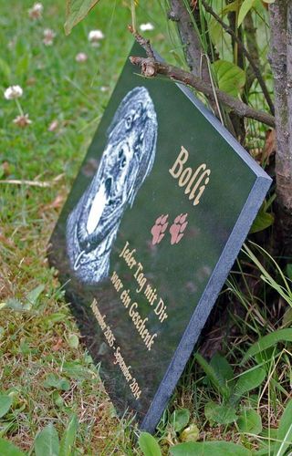 GRANIT Grabstein Tiergrabstein Gedenkstein Hund-G16 ► FOTO GRAVUR ◄ 20x15 cm 