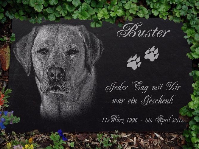 Textgravur ◄ 20 x 15cm West Highland Terrier GRABSTEIN Hunde Hund-028 ►LASER 