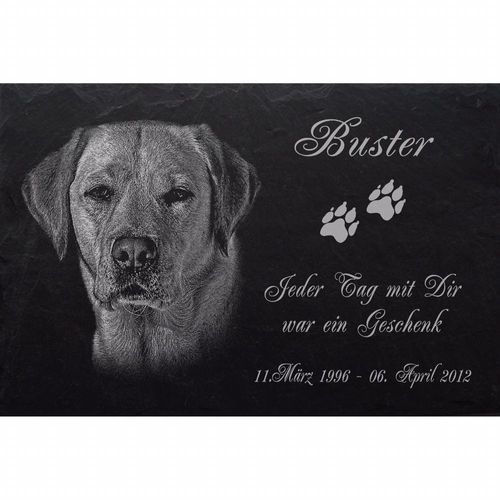 GRABSTEIN Tiergrabstein Gedenkstein Hunde Hund-020 ► Foto Gravur ◄ 20 x 15 cm 