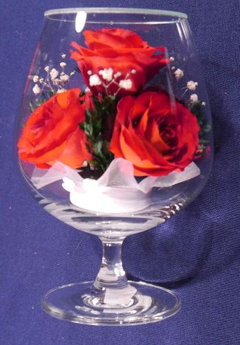 ewige echte Rose BLR 18cm 10Rosen Trockenblumen staubdicht Valentin Muttertag