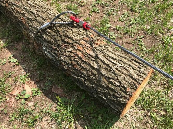 10mm Chokerseil Forstseil hochverdichtet Anschlagseil mit Seilgleithaken  Zugseil kaufen bei