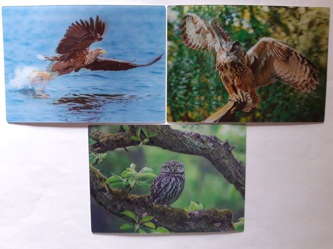 3 D Ansichtskarte Adler Eule Postkarte Wackelkarte Hologrammkarte Waldtiere Tier 