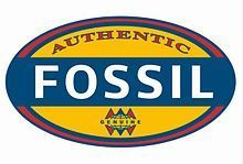 Artikel von: Fossil