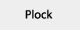 Plock