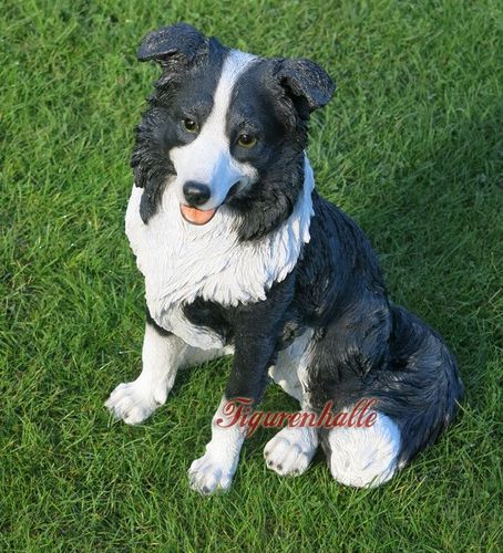 Australian Shepherd schwarz Figur Statue Skulptur Deko Hund Fan Artikel kaufen bei Hood.de