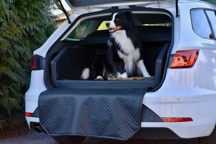 Autohundebett Kunstleder Transportbett Hundebett Kofferraum
