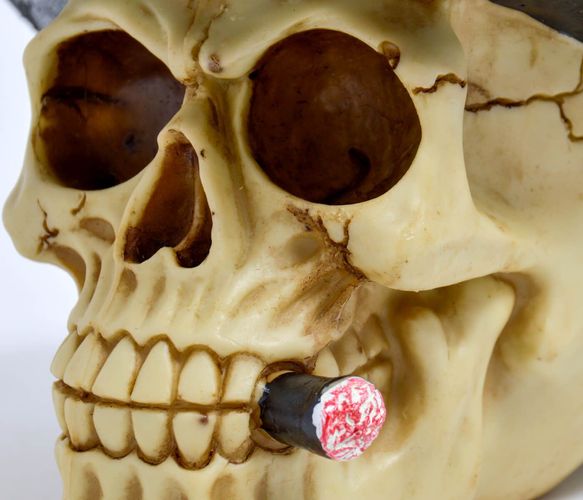 Totenkopf Halloween Pirat Gothic Skull Totenschädel Piratenlook Schädel Polizei 