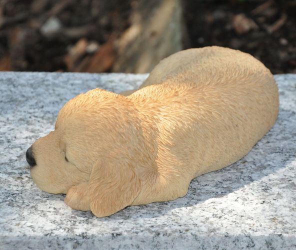 Gartenfigur Gartendeko Tierfigur Skulptur Hund Golden Retriever wetterfest 17 cm 