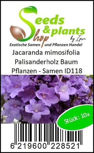 Samen ID118 Stk Seeds Plants Shop Samenbank Pfullingen Patrik Ipsa 10x Jacaranda mimosifolia Palisanderholz Baum Pflanzen