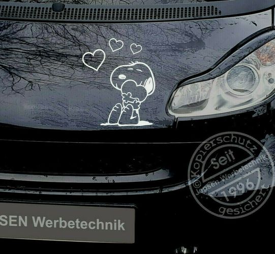 Aufkleber Snoopy Charly ca 80x58cm S086TD Wunschfarbe Wohnmobil
