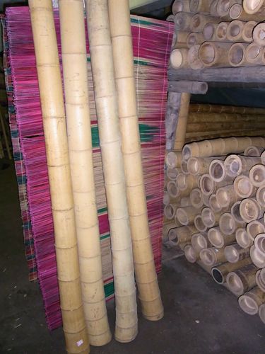 5 x Bambusrohr  10-12 cm 2m Paket Bambusrohre Bambusstange Bambusstangen Bambus 
