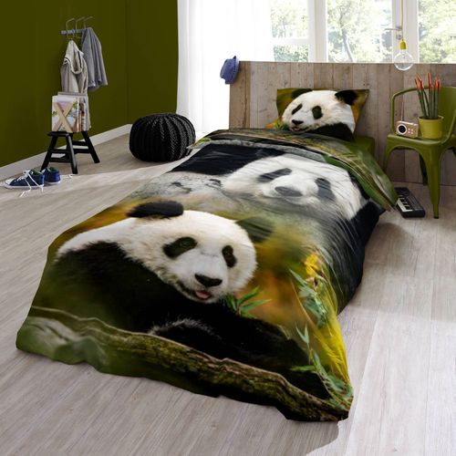 Good Morning Bettwäsche 2458 Sammy Bunt Panda Wildnis Pandabär Tier Jungle Bunt 