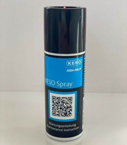 Keso Spray Zylinder Pflege Spray Zylinderreinigung Keso8000 Keso6000FP2  Schlossspray kaufen bei