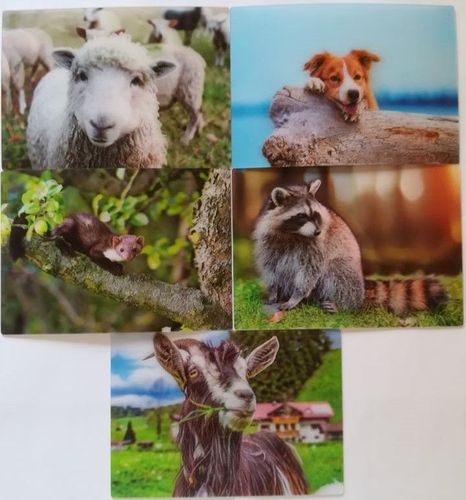 3 D Ansichtskarte Waldtiere Postkarte Wackelkarte Hologrammkarte Bild Tier Tiere 