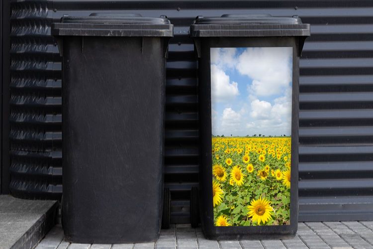 Mülltonnenaufkleber - Sonnenblumen - Wolken - Natur - 38x80 cm