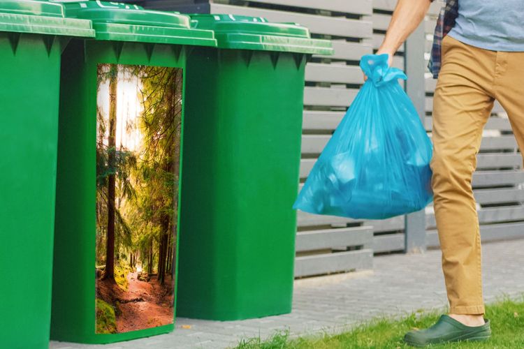 Mülltonnenaufkleber - Wald - Weg - Baum - 44x98 cm kaufen bei