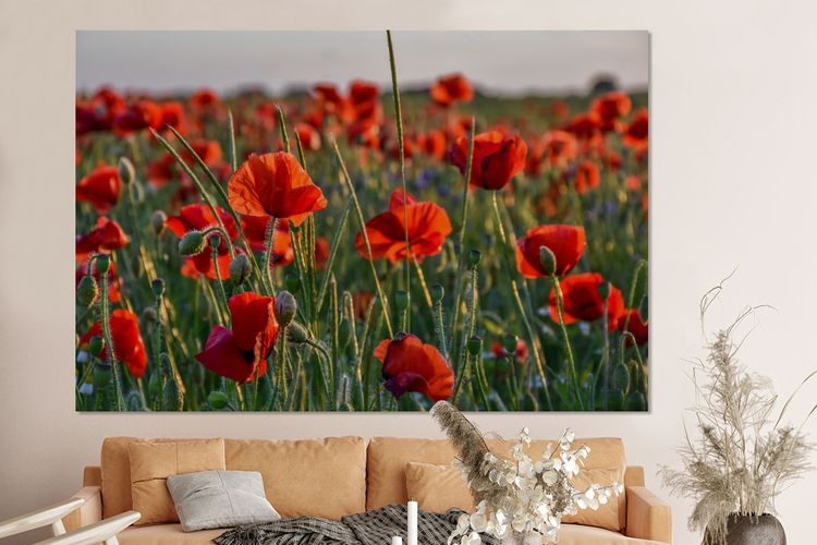 Glasbilder - 150x100 cm - Blumen - Mohn