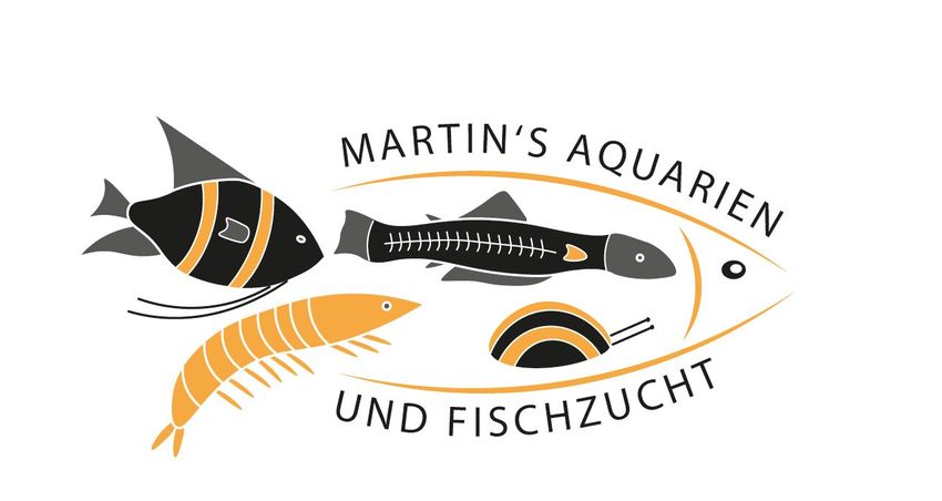 Zum Shop: Martins Aquarien