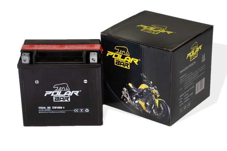 Batterie 12V YTX14-BS 14Ah Säurepack Motorradbatterie Motorrad Roller  PolarBär kaufen bei