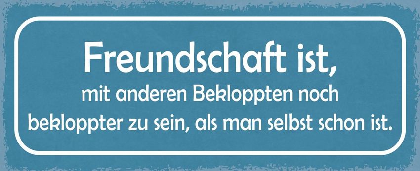 Blechschild Spruch 27x10 cm Freundschaft noch bekloppter Deko Schild