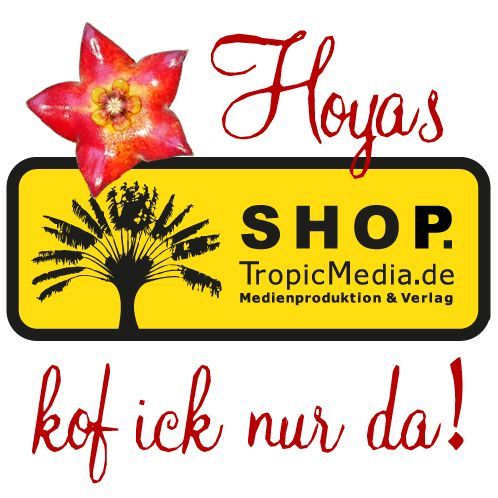 Shop. TropicMedia
