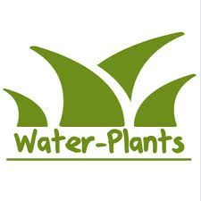 Water-Plants